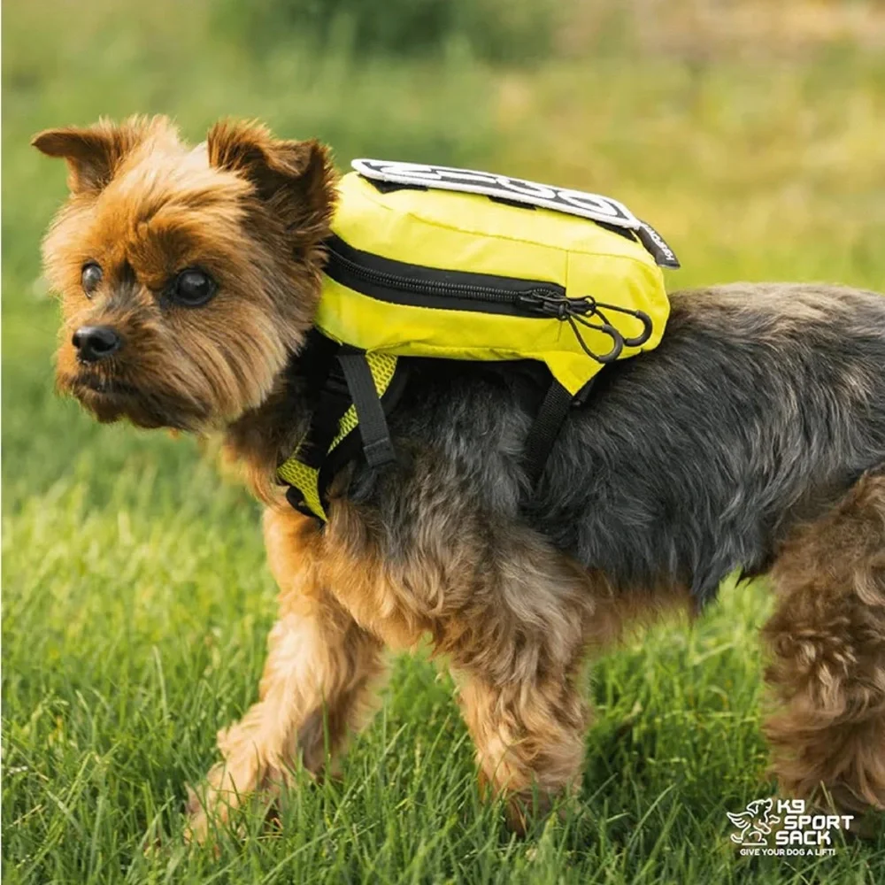 Black K9 Sport Sack Walk On Backpack Set